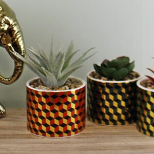 Set of 3 Succulents In Ceramic Pots With A Cubic Design