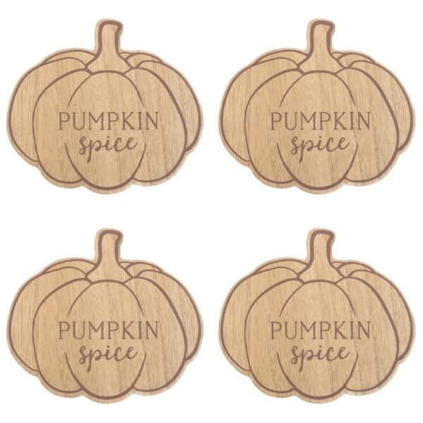 Pumpkin Spice Coaster Set