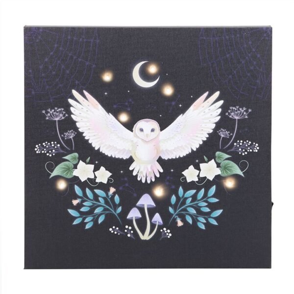 Midnight Moth Light Up Canvas Plaque