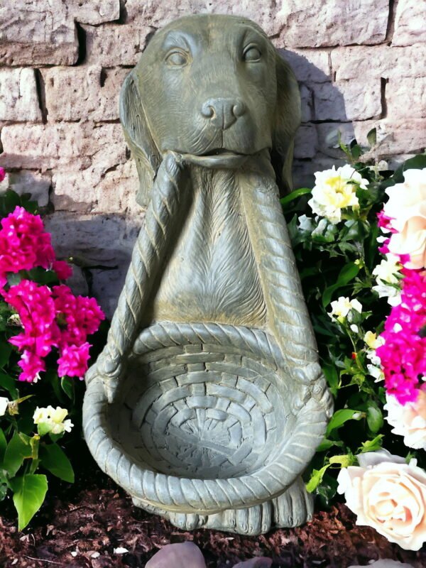 Garden Ornaments & Birdbaths