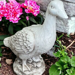 Garden Ornaments & Birdbaths