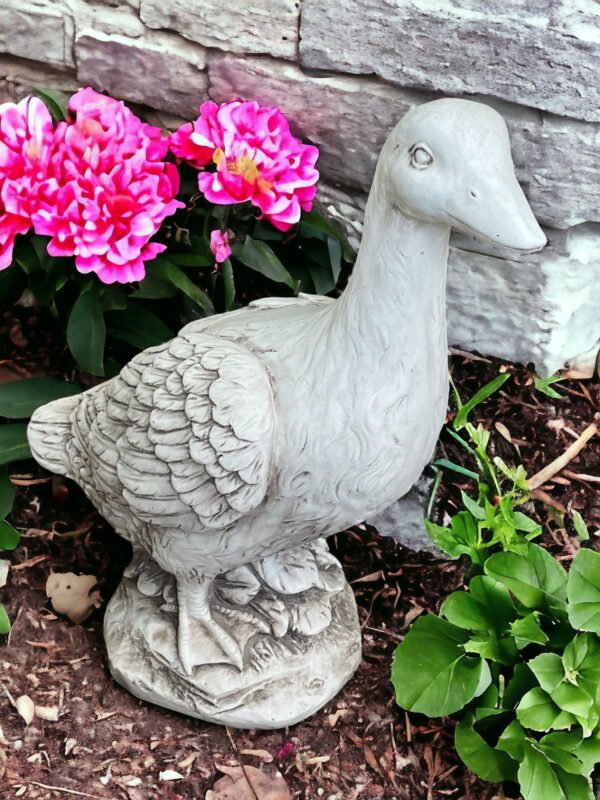 Garden Ornaments & Birdbaths