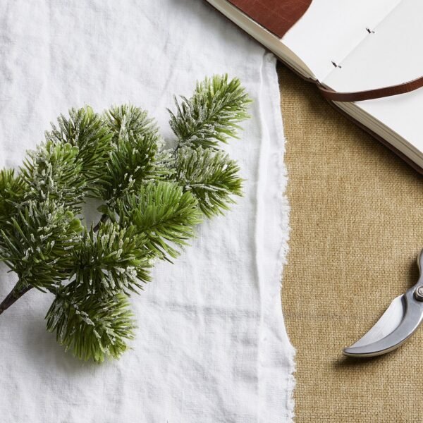 Frosted Pine Single Stem - Image 2