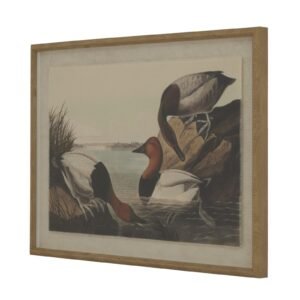 Immaculately rendered botanical and wildlife artwork meets refined presentation in this stunning wall piece. The graceful Pochards illustration