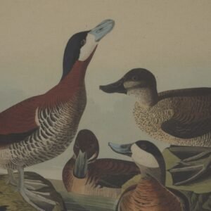 this artwork harmoniously blends rustic authenticity with refined artistry. The natural linen backdrop provides an understated canvas for the detailed duck illustration