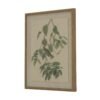 This beautifully detailed artwork from the Flora & Fauna Collection depicts delicate warblers set against natural linen