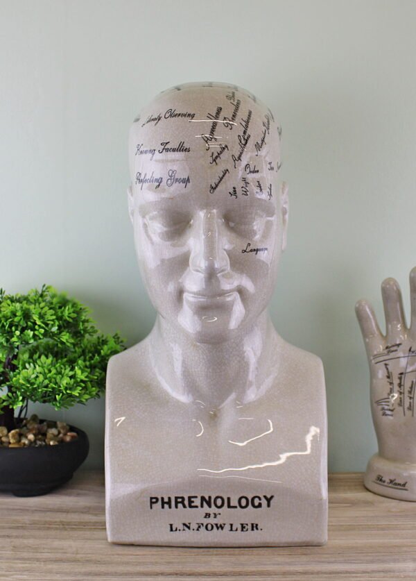 Large Ceramic Phrenology Head 42cm - Image 5
