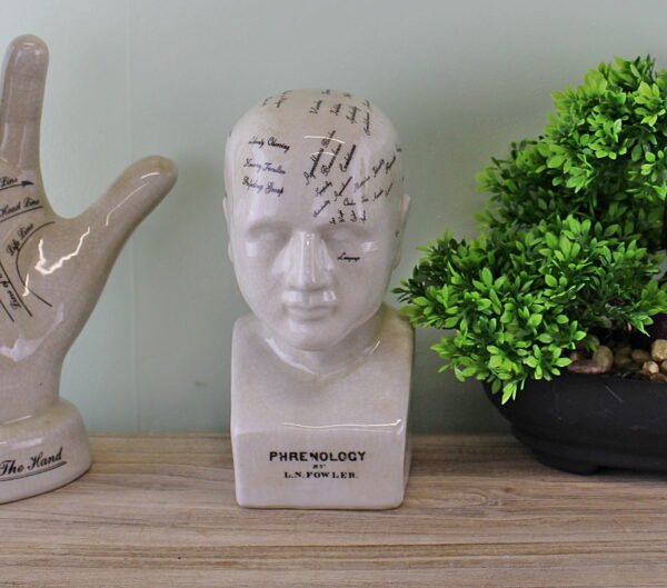 Small Ceramic Phrenology Head 19cm - Image 5