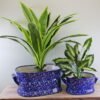 Set of 2 Ceramic Footbath Planters