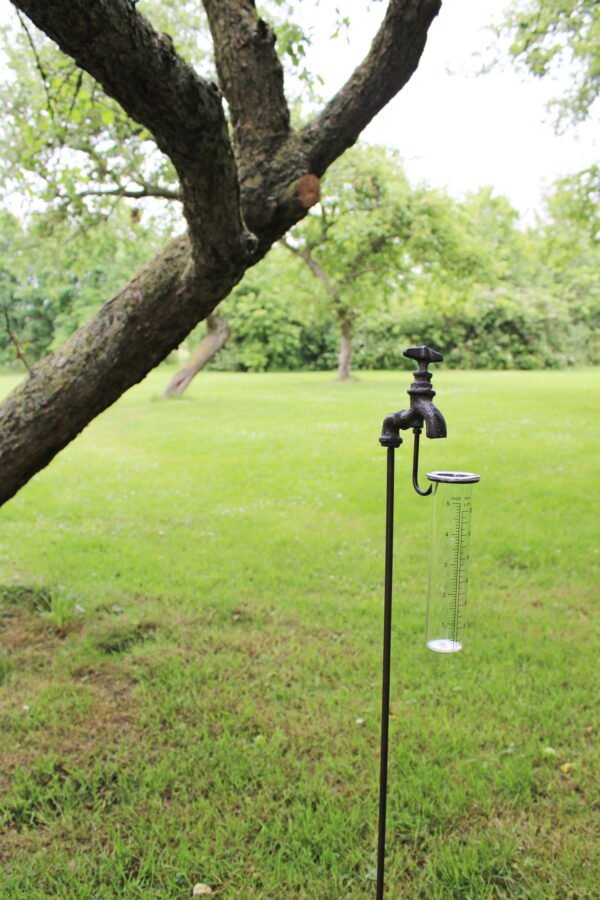 Cast Iron and Glass Garden Rain Gauge