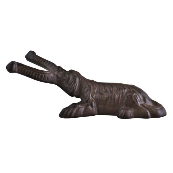 Dog Design