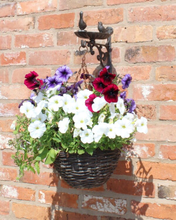 Cast Iron Hanging Basket Wall Bracket With Bird Feeder - Image 4