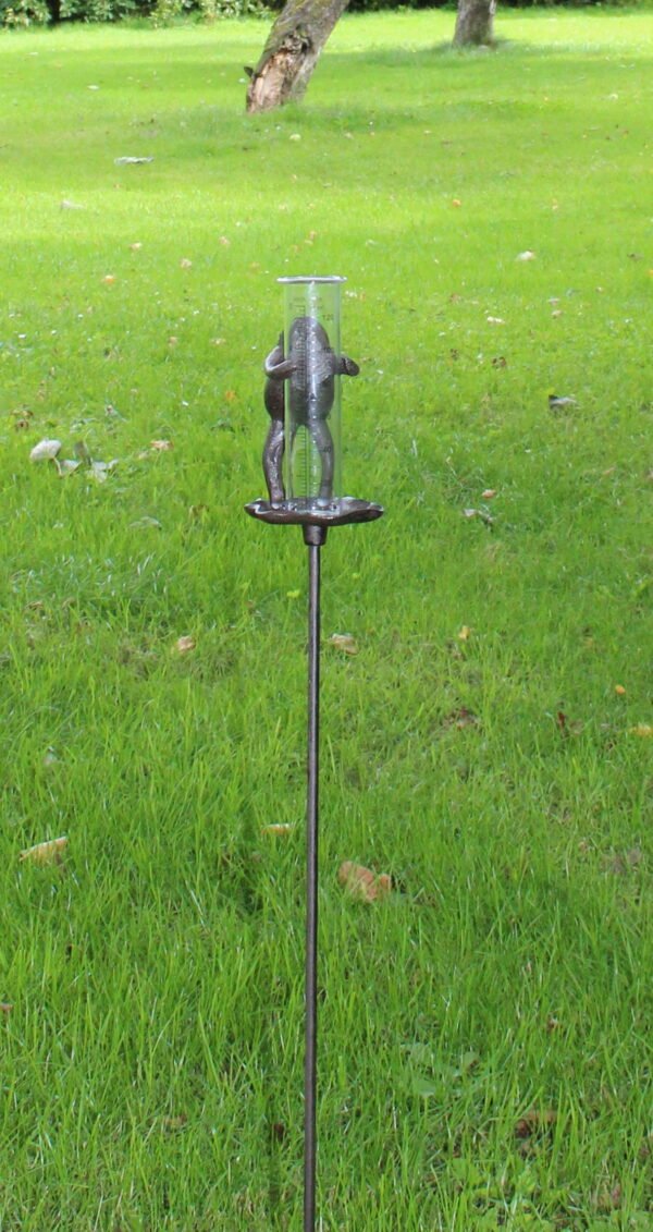 Cast Iron and Glass Garden Rain Gauge, Frog On Lily Pad - Image 4