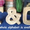 Hand Carved Wooden Embossed Letters Toilet