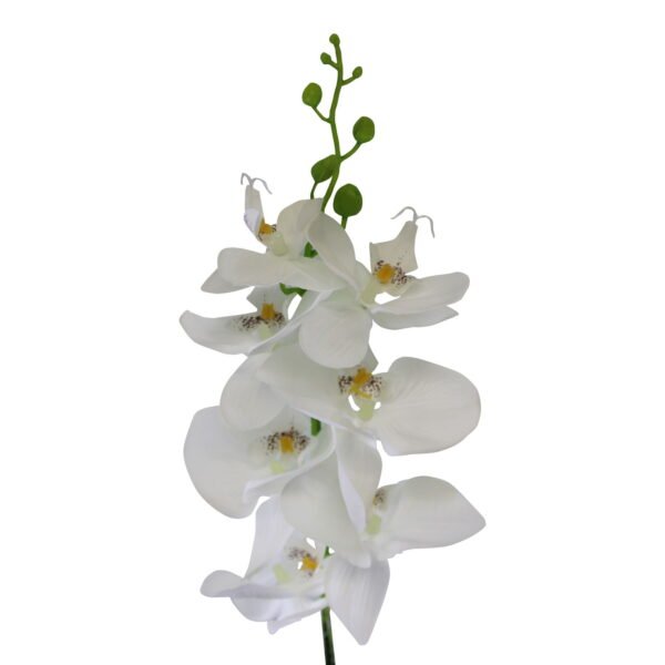 Single Orchid Spray