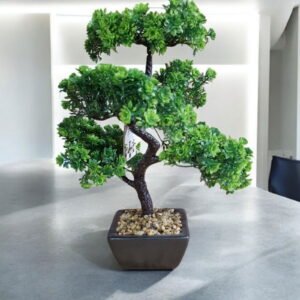 Bonsai Tree Decoration Boxwood 37cm