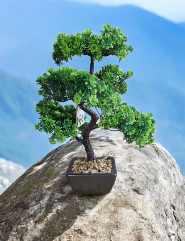 Bonsai Tree Decoration Boxwood 37cm - Image 4