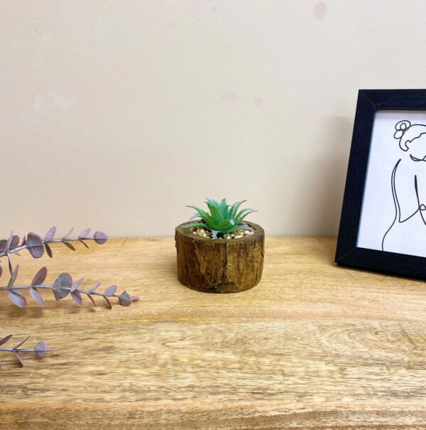Bark Effect Pot and Succulent - Image 4