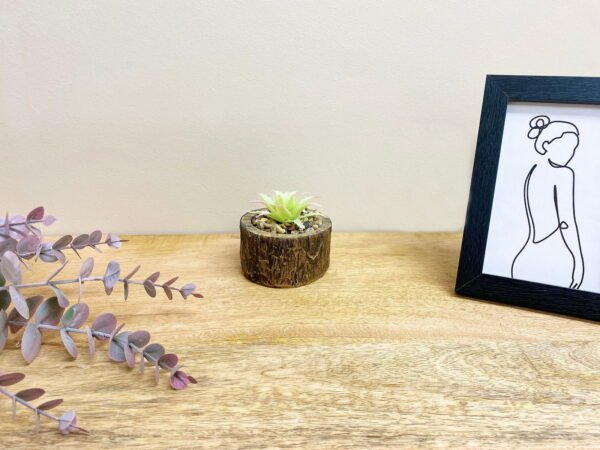 Bark Effect Pot and Succulent - Image 5
