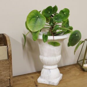 Classic Urn Planter