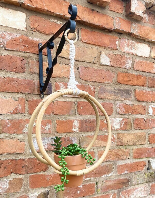 Small Succulents & Faux Bonsai
