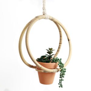 Small Succulents & Faux Bonsai