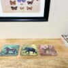 Pack of Six Safari Coasters