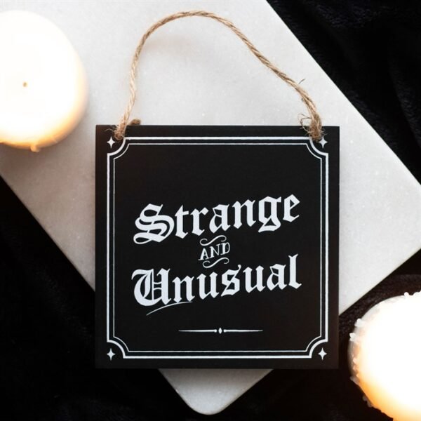 Strange and Unusual Hanging Sign - Image 4