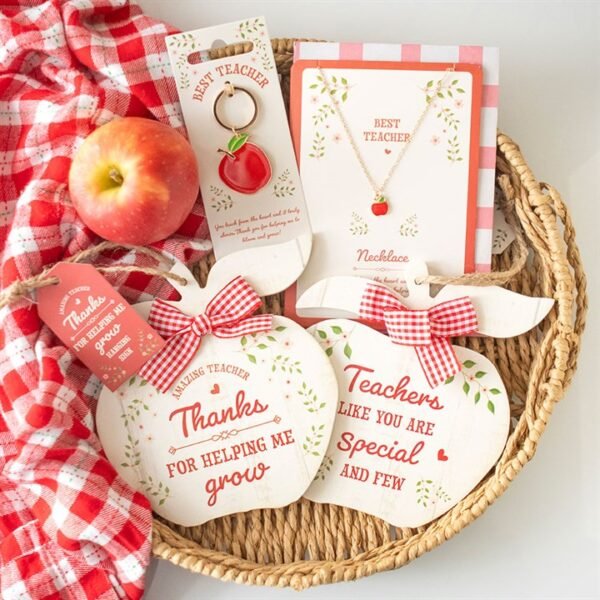 Teachers Like You Apple Hanging Decoration - Image 5