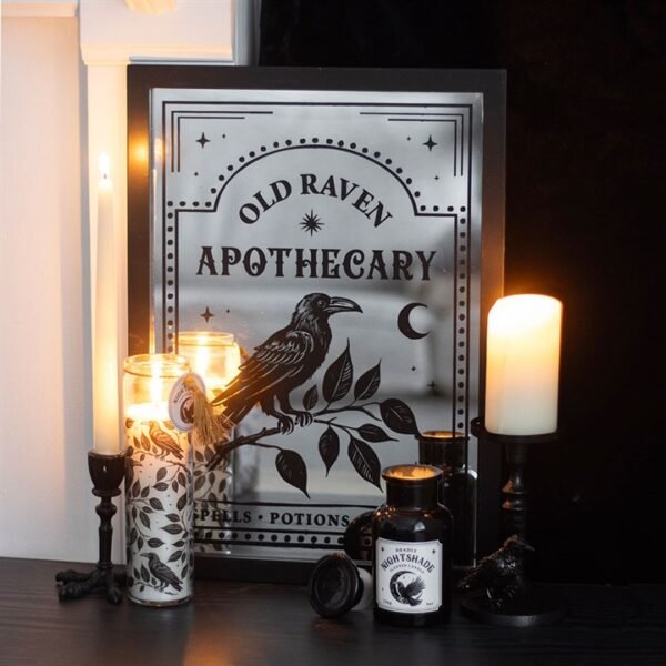 Raven Claw Taper Candle Holder - Image 5